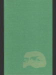 Muž s maskou  - náhled