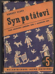 Syn po tátovi - náhled