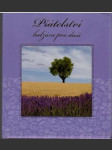 Přátelství balzám pro duši (malý formát) - náhled