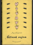 Účinná vojna - náhled