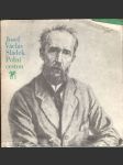 Polní cestou - náhled