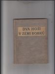 Dva hoši v zemi bobrů - náhled