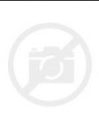 Čaro oživenej fantázie. Slovenské profesioníálne bábkárstvo vo fotografii - náhled