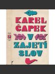 V zajetí slov - náhled