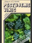 Pestujeme vinič - náhled