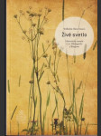 Živé svetlo - náhled