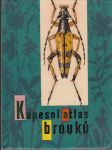 Kapesní atlas brouků - náhled