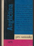 Angličtina pro samouky - náhled