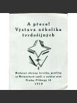Tvrdošíjní (katalog výstavy) - náhled