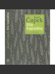 Stín kapradiny - náhled
