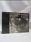 Psáno v kóji - náhled