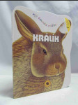 Králík - náhled