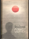 Cizinec - náhled