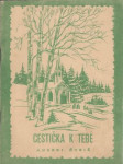 Cestička k tebe  - náhled