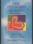 Moc přítomného okamžiku  (pracovní kniha) - Základní teorie, meditace a cvičení - náhled