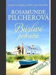 Búrlivé pobrežie - náhled