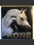 Koně – Temperament a elegance ve fotografiích  - - [HOL] - náhled