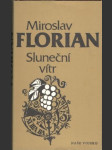 Sluneční vítr - náhled
