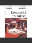Komenský by zajásal - náhled