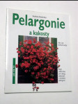 Pelargonie - náhled