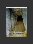 1000 let hornictví cínu ve Slavkovském lese - náhled