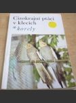 Cizokrajní ptáci v klecích. Korely - náhled
