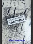 Pastvina - mlejnek josef - náhled