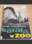 Katala v ZOO - náhled