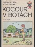 Kocour v botách - náhled