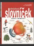 Obrázkový slovníček - česky / německy - náhled