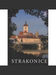 Strakonice - náhled