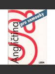 Angličtina pro samouky (bez klíče) - náhled