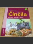 Činčila - aktivní, zábavná, hbitá - náhled