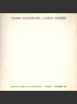 T. Kolenčíková a V. Kolenčík (Výběr z tvorby) - náhled