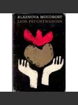 Bláznova moudrost - náhled