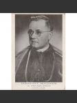 Nekrvavý mučedník Dr. Josef Karel Matocha, arcibiskup olomoucký, metropolita moravský - náhled