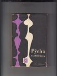 Pýcha a předsudek - náhled