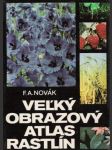 Veľký obrazový atlas rastlín - náhled