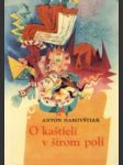 O kaštieli v šírom poli - náhled