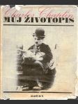 Můj  životopis - náhled