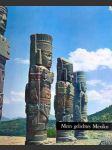 Mein geliebtes mexiko (moje milované mexiko) - náhled
