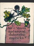 Jak  si  slávek  načaroval  dubového  mužíčka - náhled