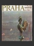 Praha v barevném reliéfu - náhled