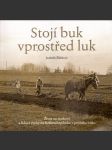 Stojí  buk   vprostřed  luk- život  na  venkově  a  lidové  zvyky  na  královehradecku  v  průběhu  roku - náhled
