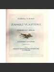 Zapadlí vlastenci. Pohorský obraz (román, Podkrkonoší; ilustrace Adolf Kašpar; polokožená vazba - vazba kůže) - náhled