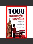 Víc než 1000 anglických slovíček. První pomoc (nejen) pro začátečníky (Angličtina, anglický jazyk, dětská literatura) - náhled