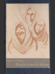 Peníz z noclehárny - náhled