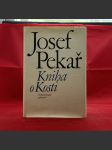 Kniha o Kosti - náhled