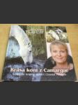 Krása koní z Camargue - náhled