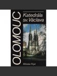 Olomouc. Katedrála sv. Václava - náhled